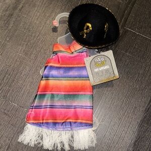 Dog Apparel Colorful Striped Pet Poncho with Fringe and Mini Sombrero